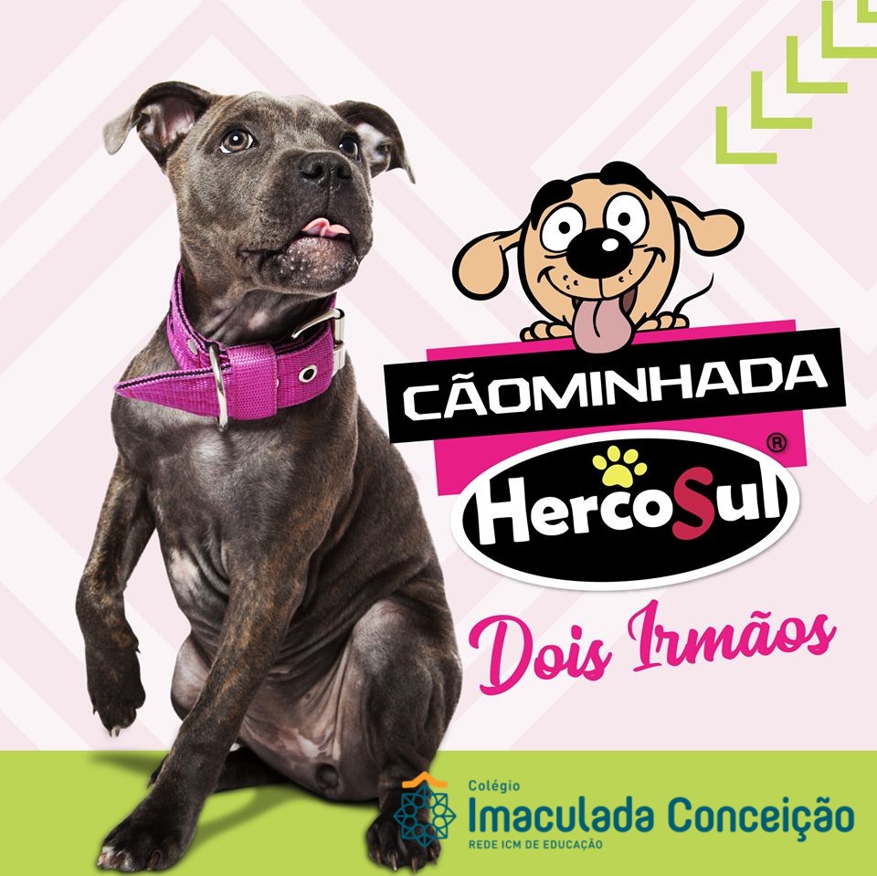 CÃOMINHADA DOIS IRMÃOS