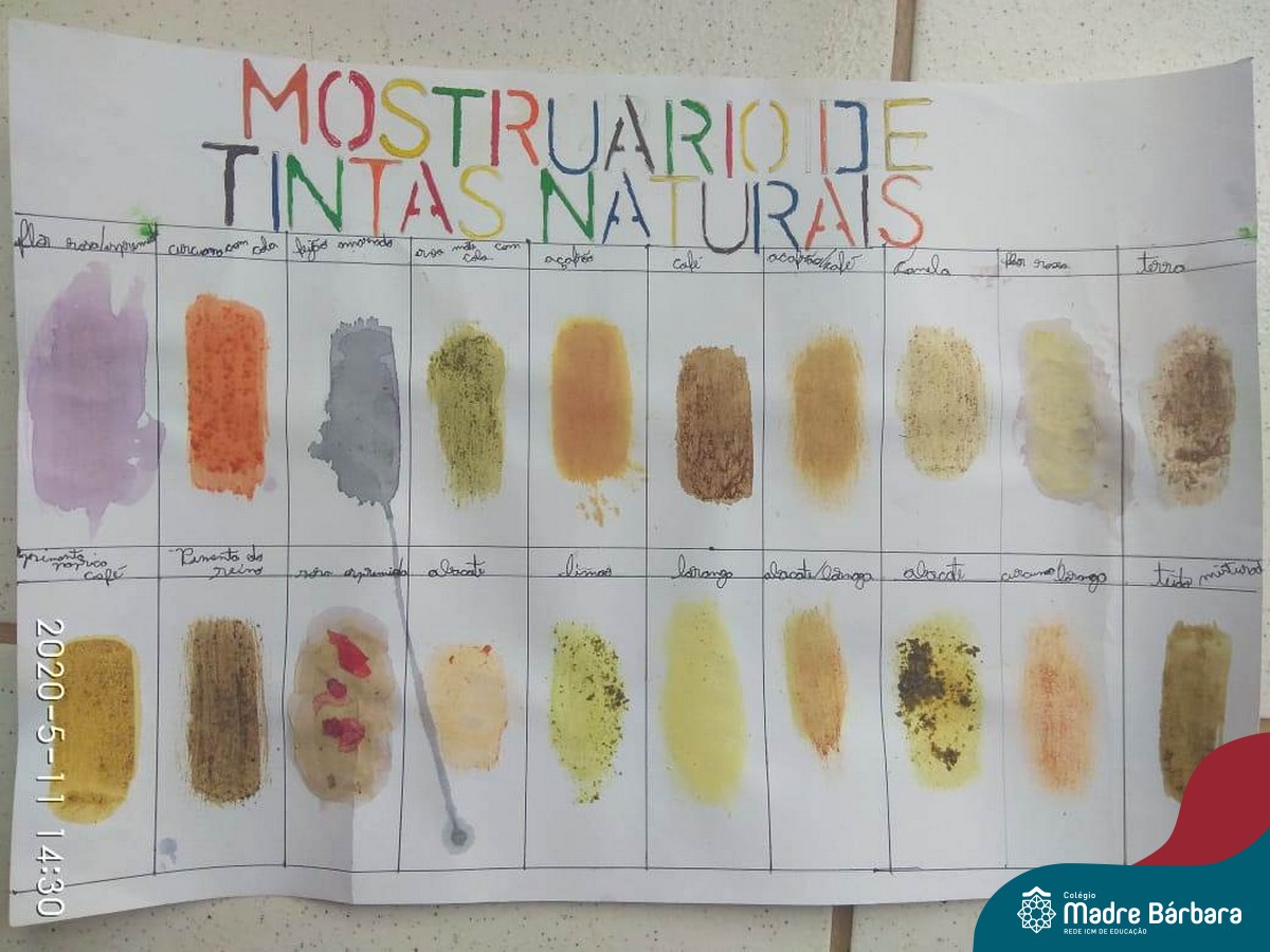 alias Más grande viva Estudo cor-pigmento e tintas naturais – Colégio Madre Bárbara | Rede ICM de  Educação