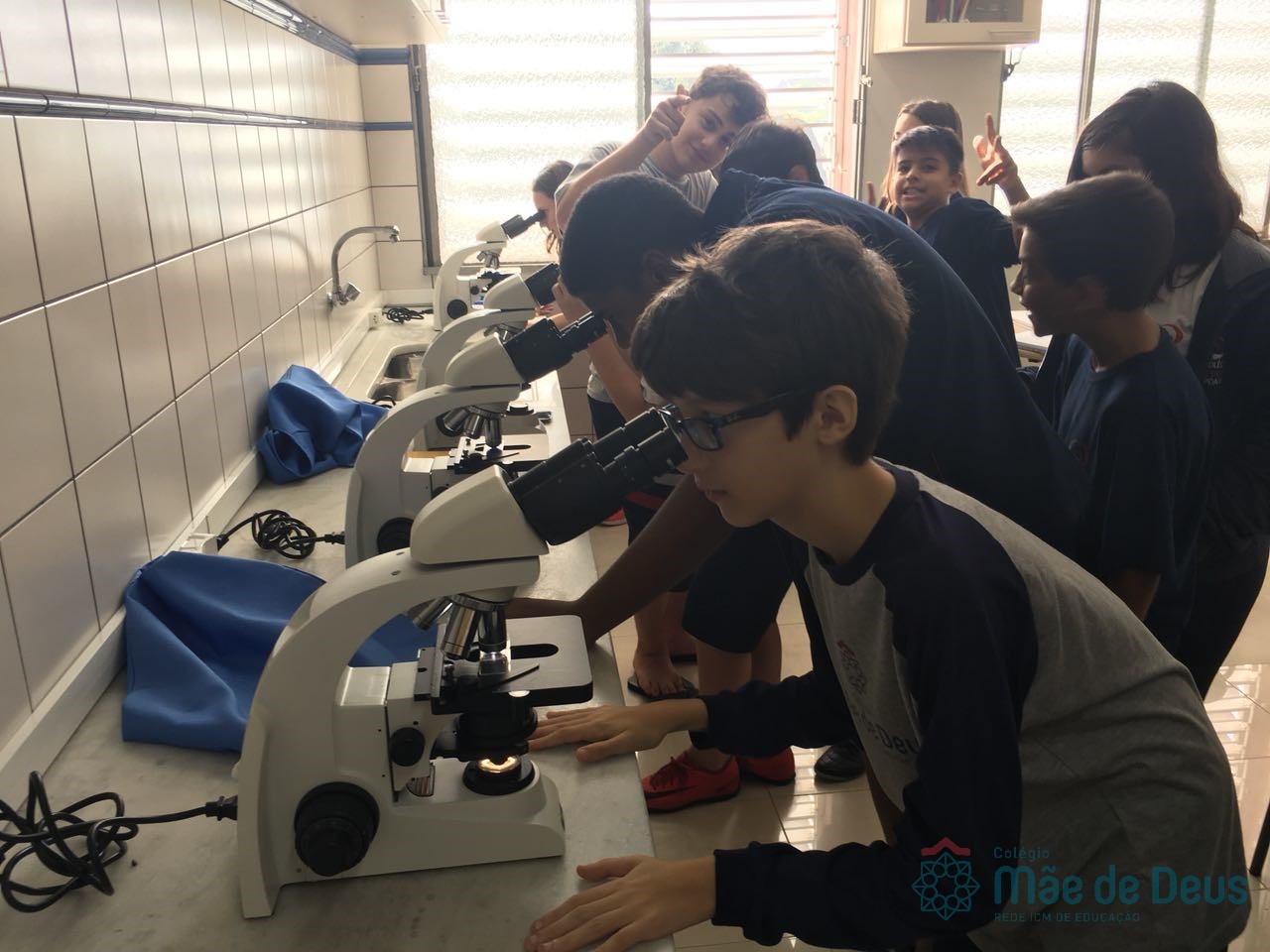 Prática: Diferenciando Bactérias de Protozoários